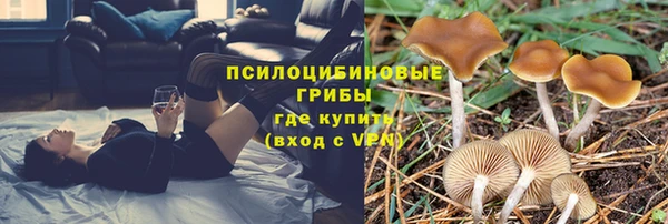 не бодяженный Верхний Тагил