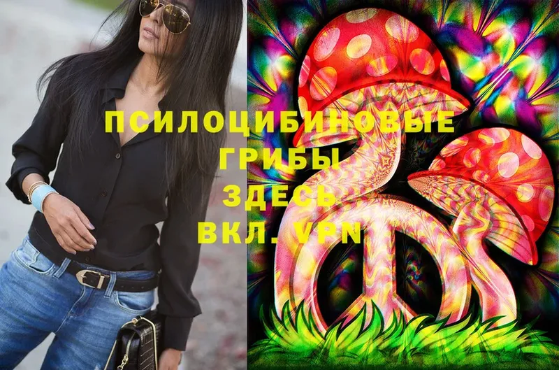 Галлюциногенные грибы Cubensis  как найти закладки  Искитим 